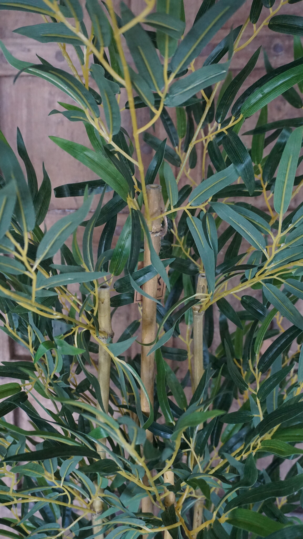 Rene Houtman Kunstboom Kamerplant Bamboe | H150 cm
