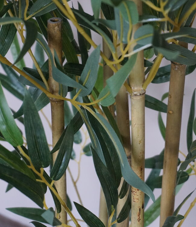 Rene Houtman Kunstboom Kamerplant Bamboe | H120 cm