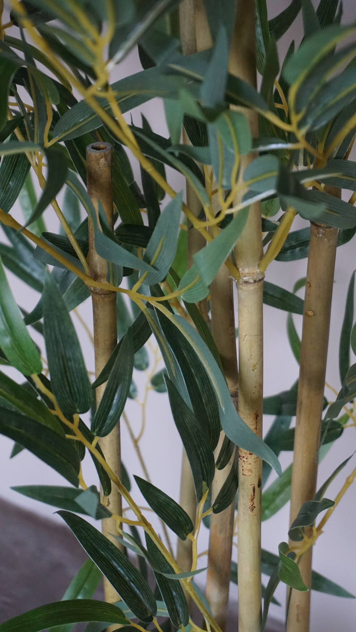 Rene Houtman Kunstboom Kamerplant Bamboe | H120 cm
