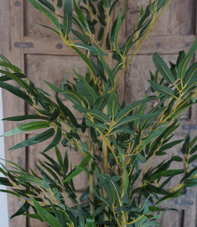 Rene Houtman Kunstboom Kamerplant Bamboe | H120 cm