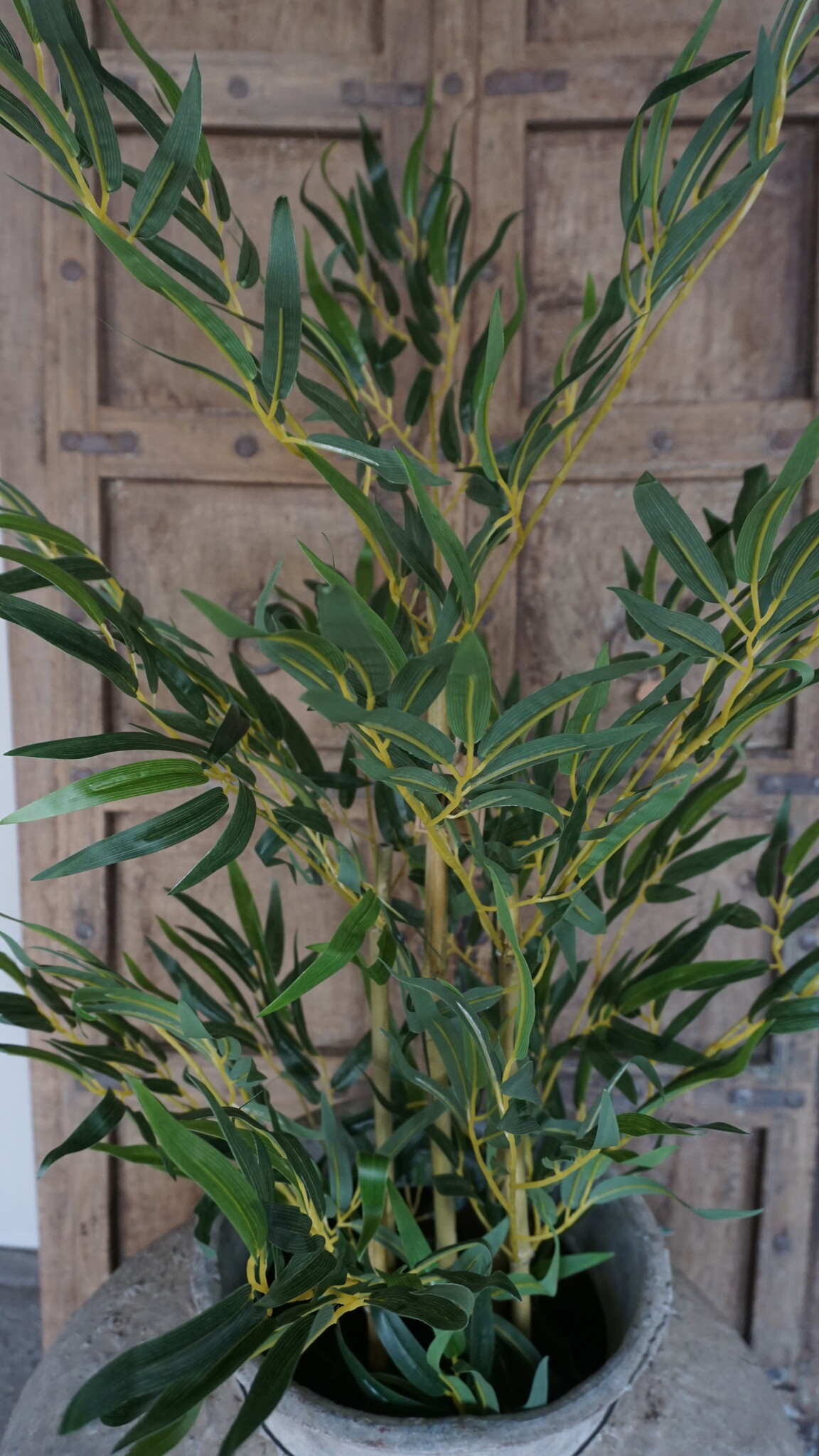 Rene Houtman Kunstboom Kamerplant Bamboe | H120 cm