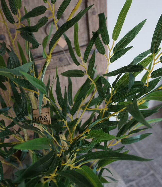 Rene Houtman Kunstboom Kamerplant Bamboe | H120 cm