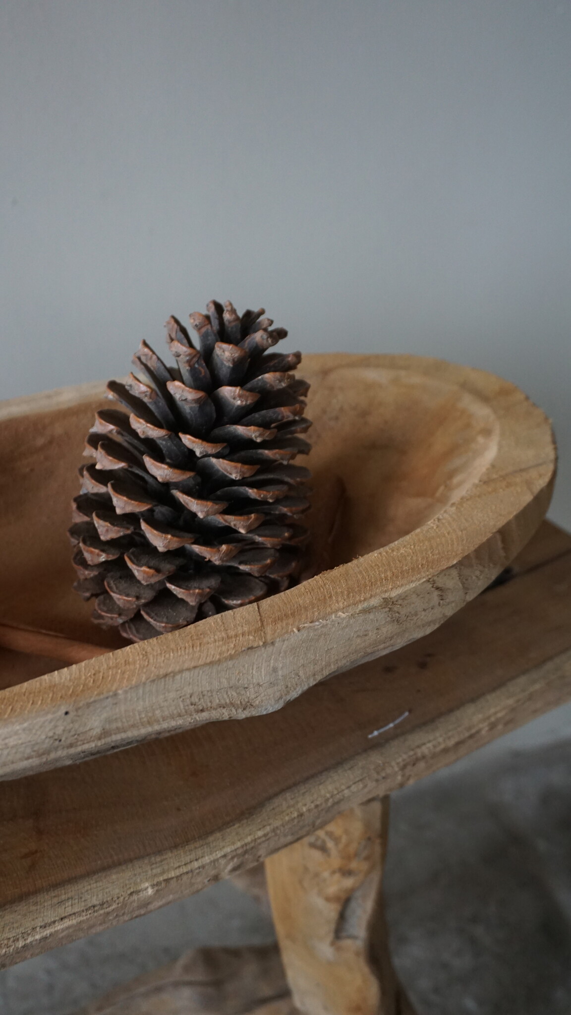 Rene Houtman Kom/Sleutelbak Teak | Sloophout | H9xB71xD22 cm