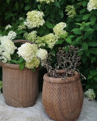 Rene Houtman Vismand Oud Riet Vergrijsd - L40 x B30 cm