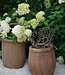 Rene Houtman Vismand Oud Riet Vergrijsd - L40 x B30 cm