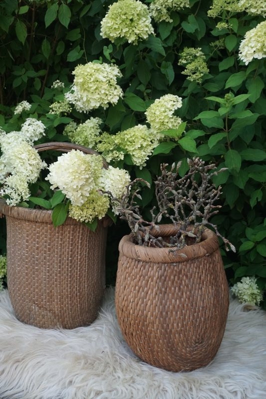Rene Houtman Vismand Oud Riet Vergrijsd - L40 x B30 cm