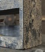 Be-Uniq Kruidenrekje | Grey Finish | H40 x B40 x D10 cm