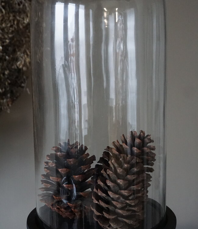 Aura Peeperkorn Stolp Glas S | H66 x D24 cm