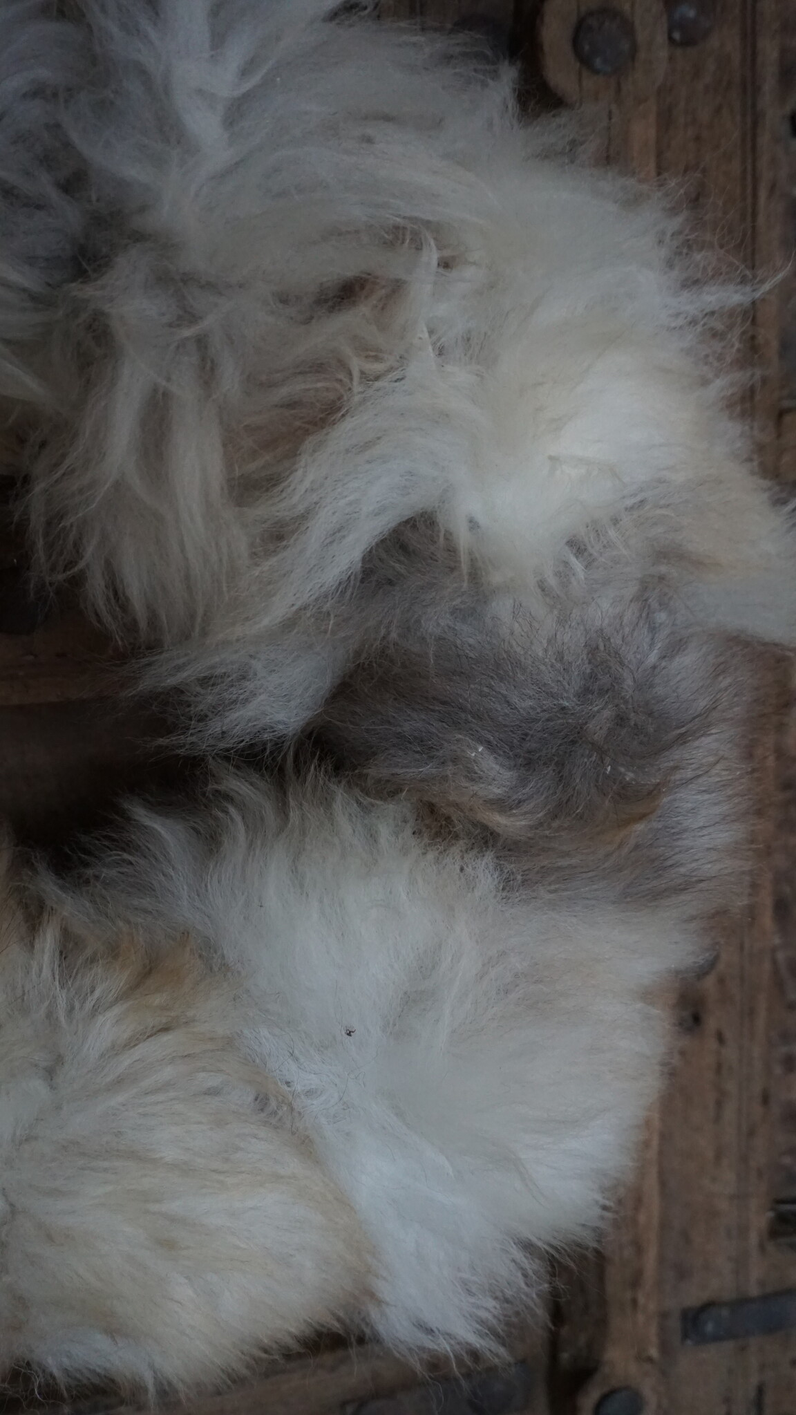 Rene Houtman Unieke Wollen Krans | Ø30 cm | Handgemaakt