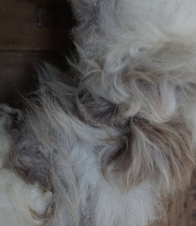 Rene Houtman Handgemaakte Wollen Krans | Ø30 cm | Uniek