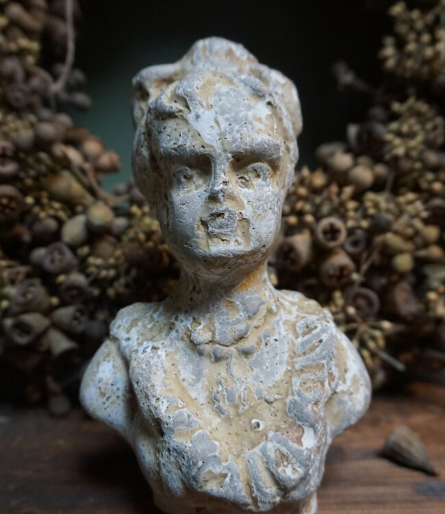 PTMD Borstbeeld Vrouw | H17 x B10 cm
