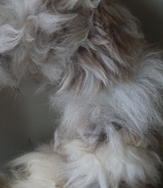 Rene Houtman Handgemaakte Wollen Krans | Ø30 cm | Uniek