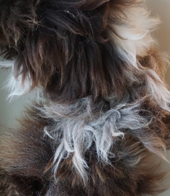 Rene Houtman Unieke Wollen Krans | Ø50 cm | Handgemaakt