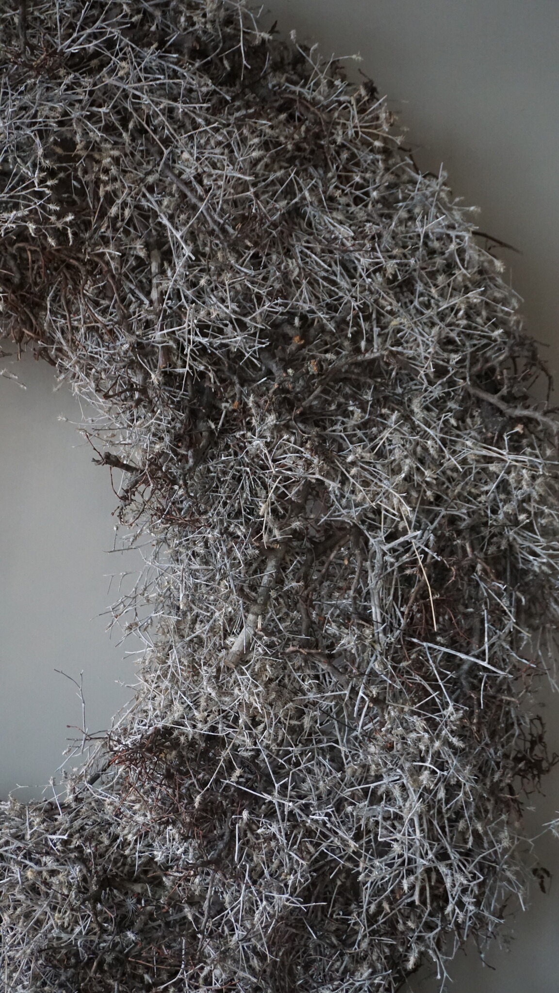 Rene Houtman Bonsai Krans | Grey-Wash | D100 cm