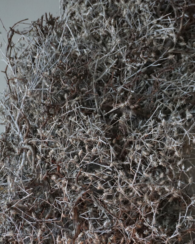 Rene Houtman Bonsai Krans | Grey-Wash | D100 cm