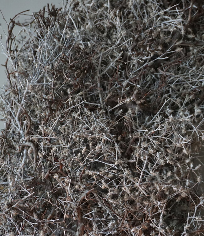 Rene Houtman Bonsai Krans | Grey-Wash | D100 cm