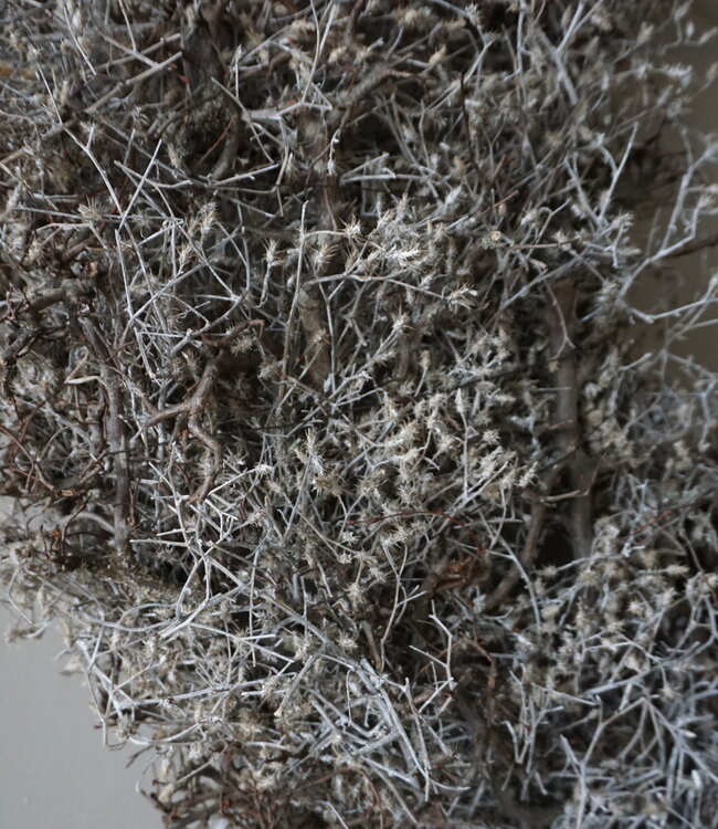 Rene Houtman Bonsai Krans | Grey-Wash | D100 cm