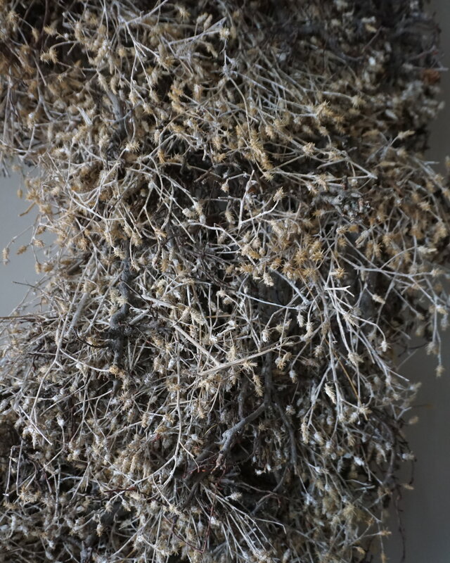 Rene Houtman Bonsai Krans | Gold-Wash | D100 cm