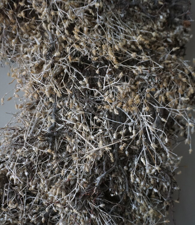 Rene Houtman Bonsai Krans | Gold-Wash | D100 cm