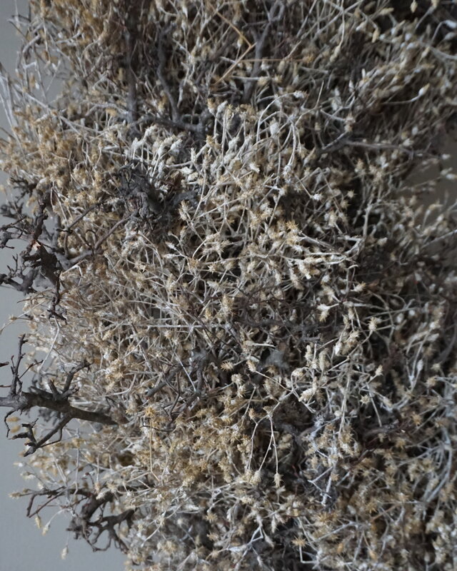 Rene Houtman Bonsai Krans | Gold-Wash | D100 cm