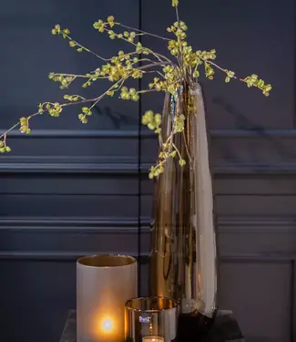 DutZ Vaas Robert Hoog | H70 x D20 | 2 Kleuren