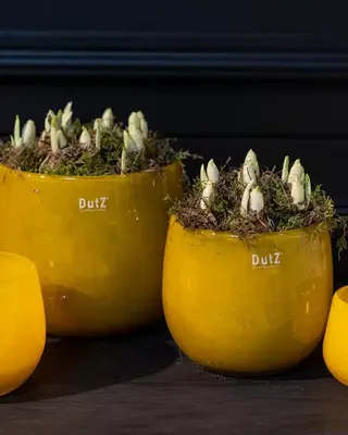 DutZ Pot | Okergeel | 4 Maten!