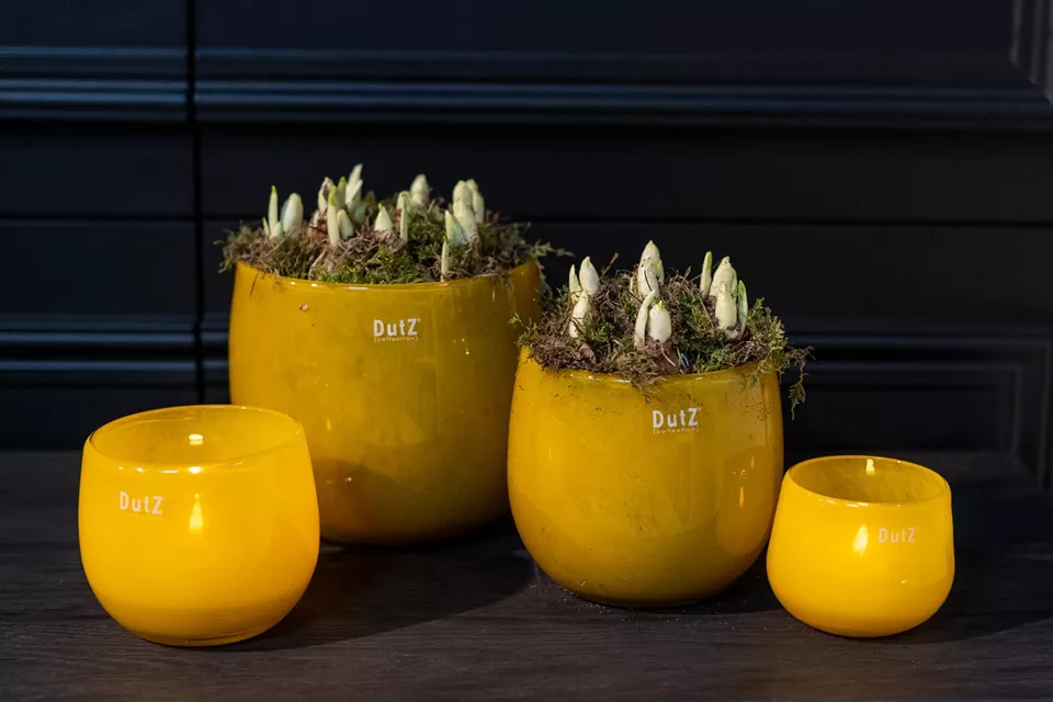 DutZ Pot | Okergeel | 4 Maten!