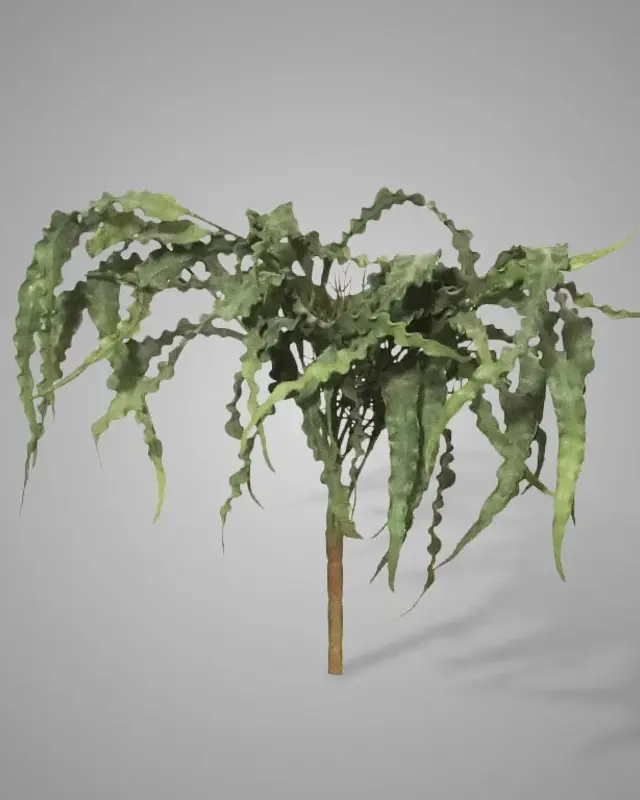 Brynxz Kunst Eucalyptus Struik | Groen | 35 cm