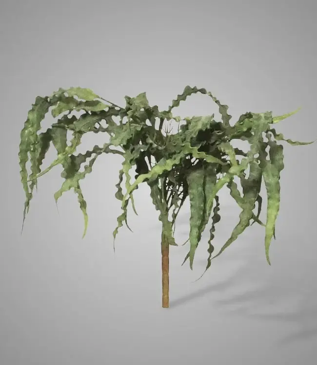 Brynxz Kunst Eucalyptus Struik | Groen | 35 cm