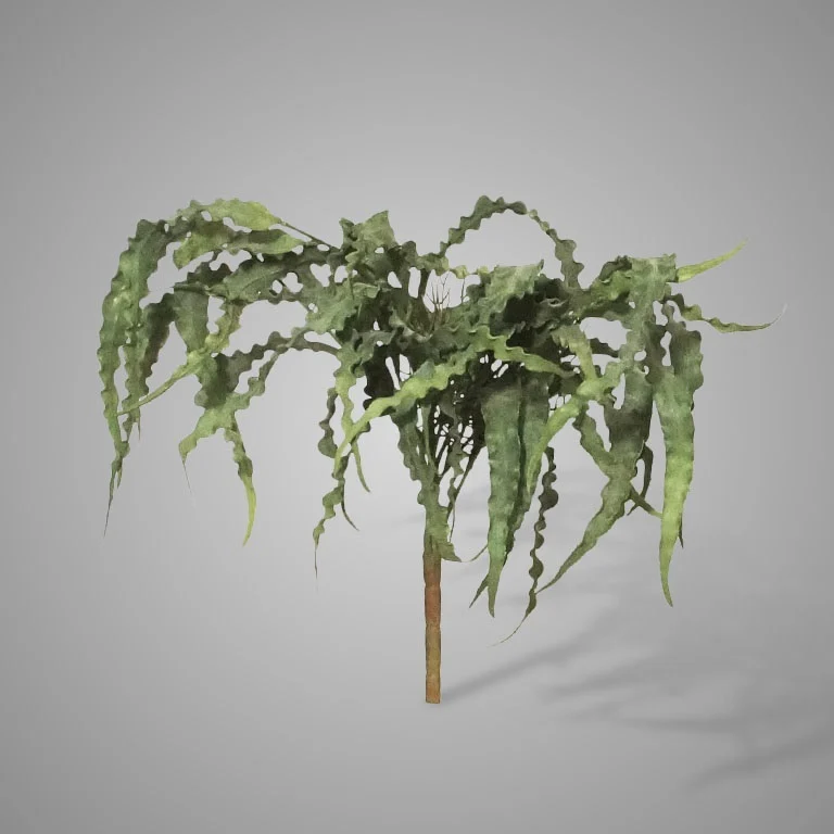 Brynxz Kunst Eucalyptus Struik | Groen | 35 cm
