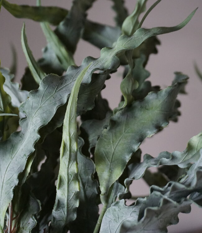 Brynxz Kunst Eucalyptus Struik | Groen | 35 cm