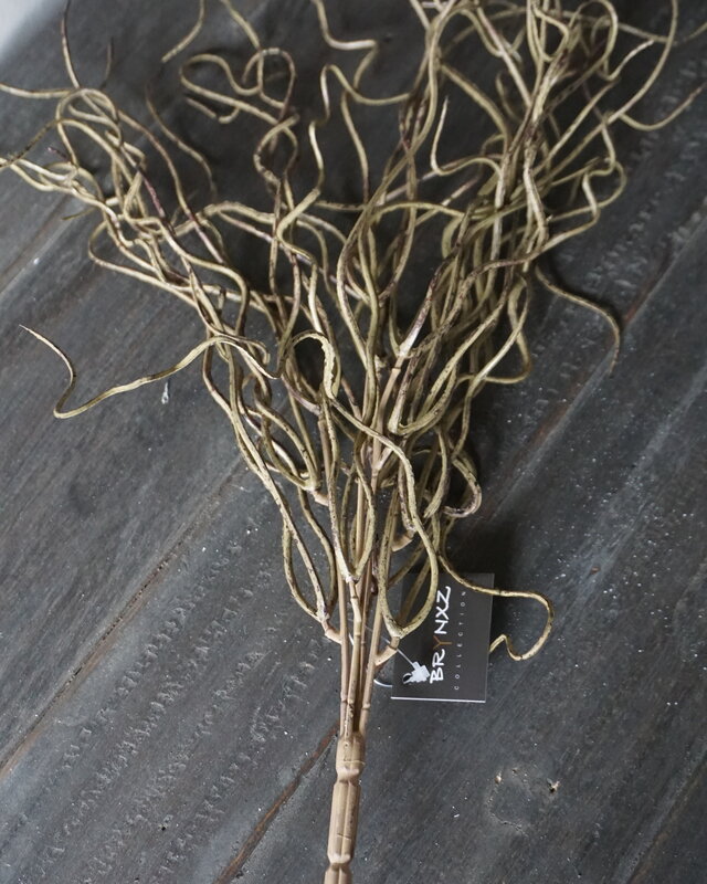 Brynxz Twijgenstruik | Groen/Bruin | 35 cm