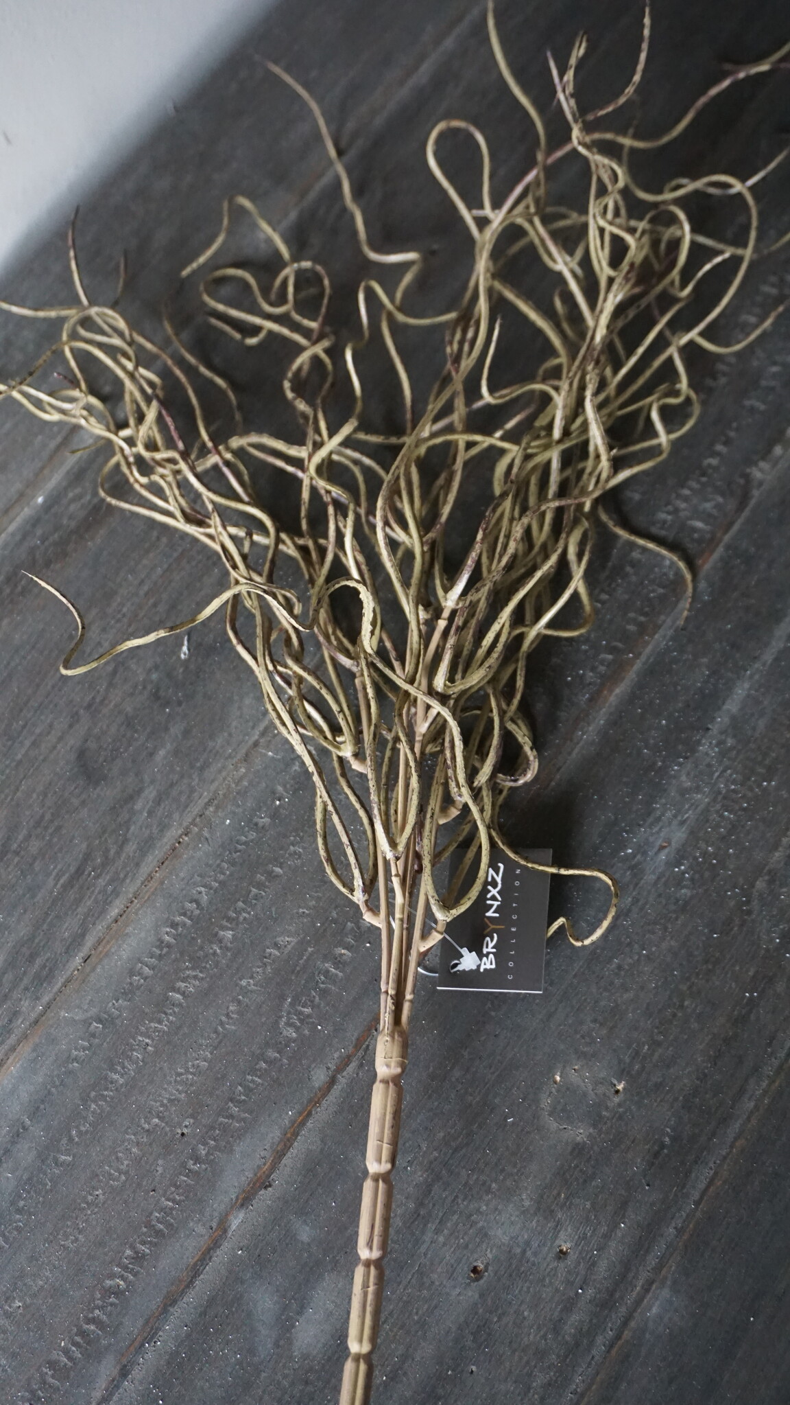 Brynxz Twijgenstruik | Groen/Bruin | 35 cm