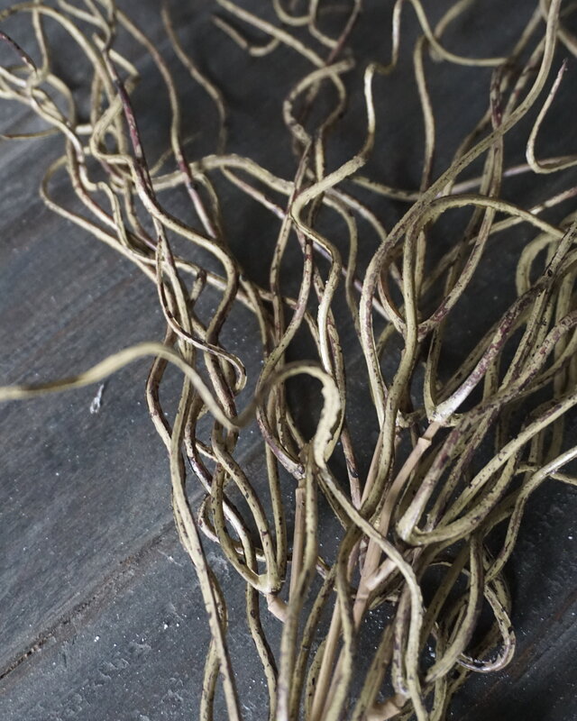 Brynxz Twijgenstruik | Groen/Bruin | 35 cm
