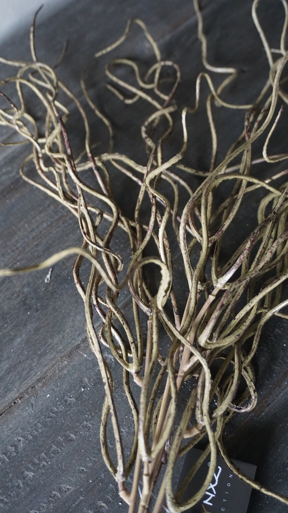 Brynxz Twijgenstruik | Groen/Bruin | 35 cm