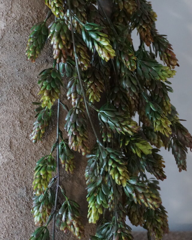 Brynxz Kunst Humulus Hangtak | Groen | 75 cm