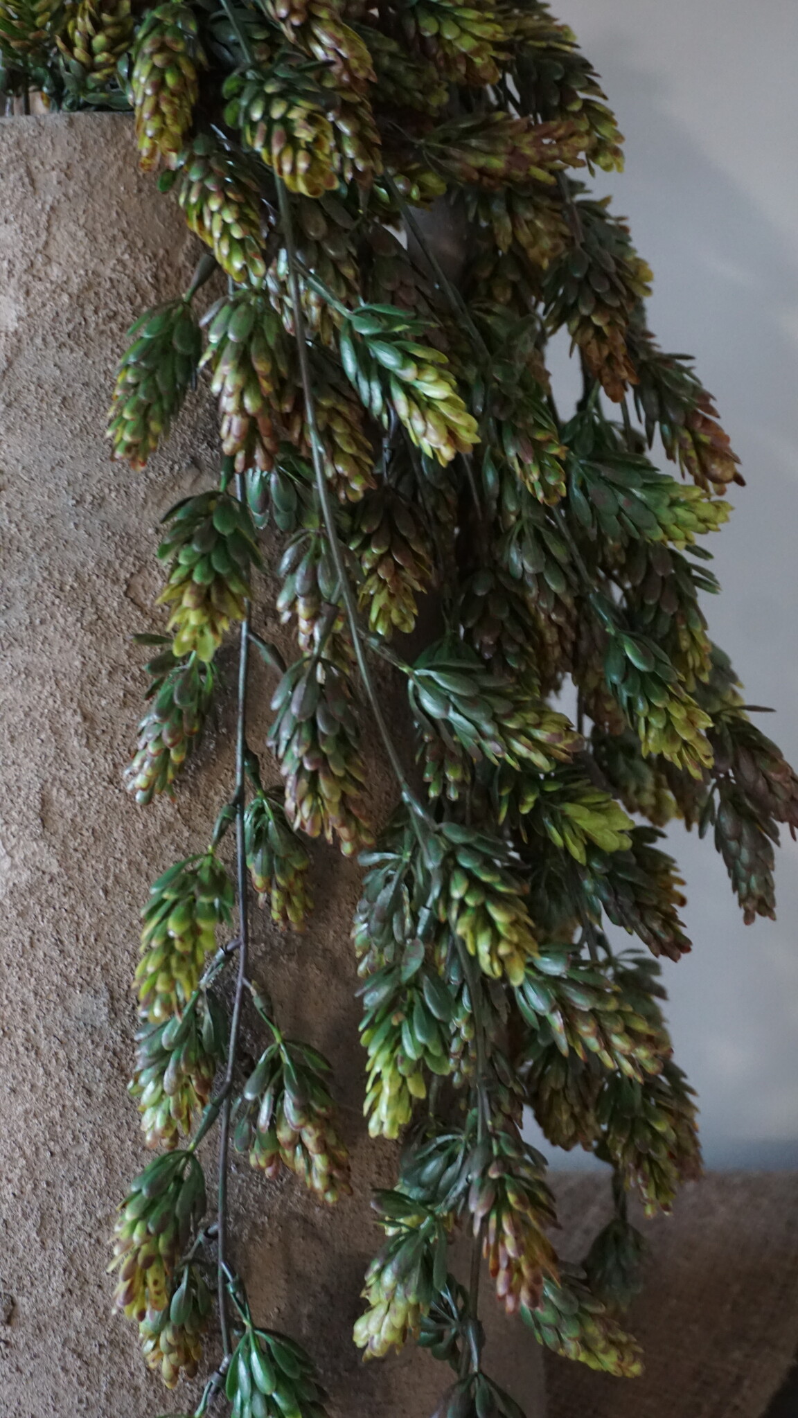 Brynxz Kunst Humulus Hangtak | Groen | 75 cm