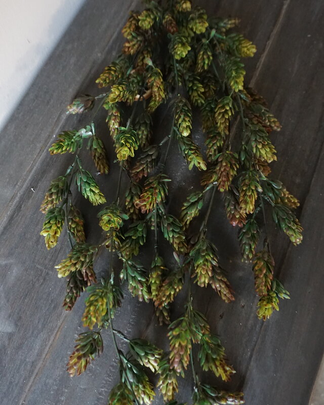 Brynxz Kunst Humulus Hangtak | Groen | 75 cm