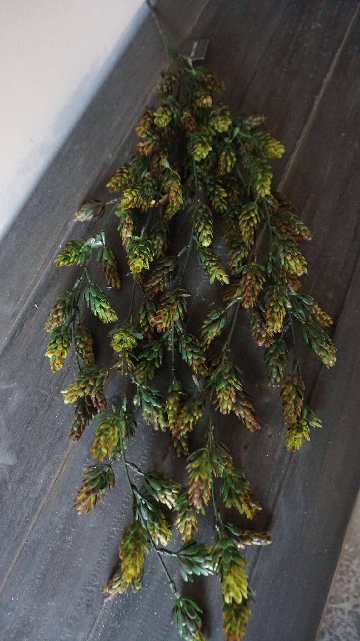 Brynxz Kunst Humulus Hangtak | Groen | 75 cm