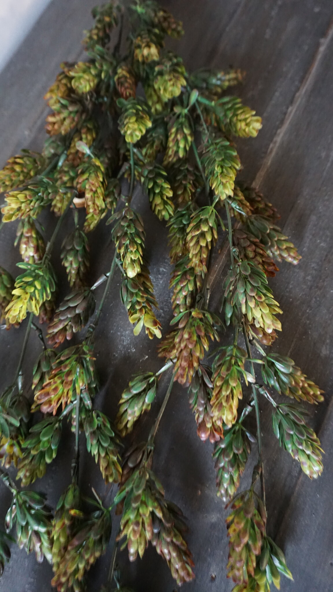 Brynxz Kunst Humulus Hangtak | Groen | 75 cm