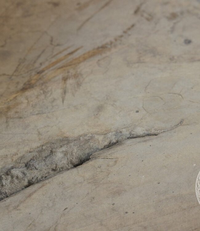 Be-Uniq Wortelhout Bankje | Indonesië | H88 x B87 x D49 cm