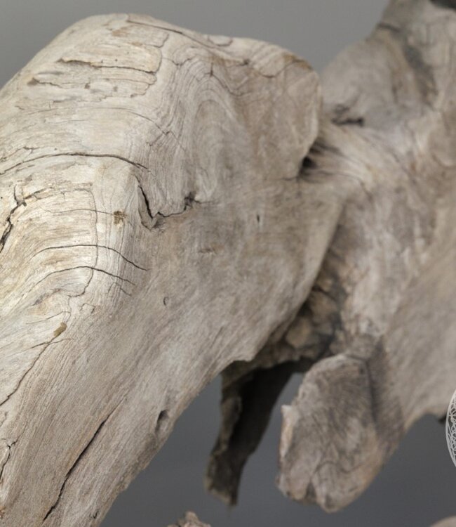 Be-Uniq Wortelhout Bank XL | Indonesïe | H107 x B230 x D110 cm