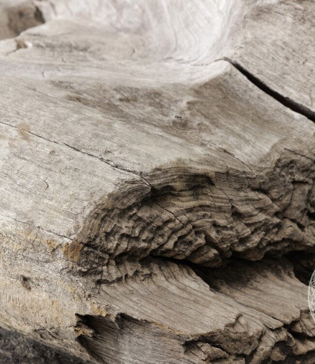 Be-Uniq Wortelhout Bank XL | Indonesïe | H107 x B230 x D110 cm