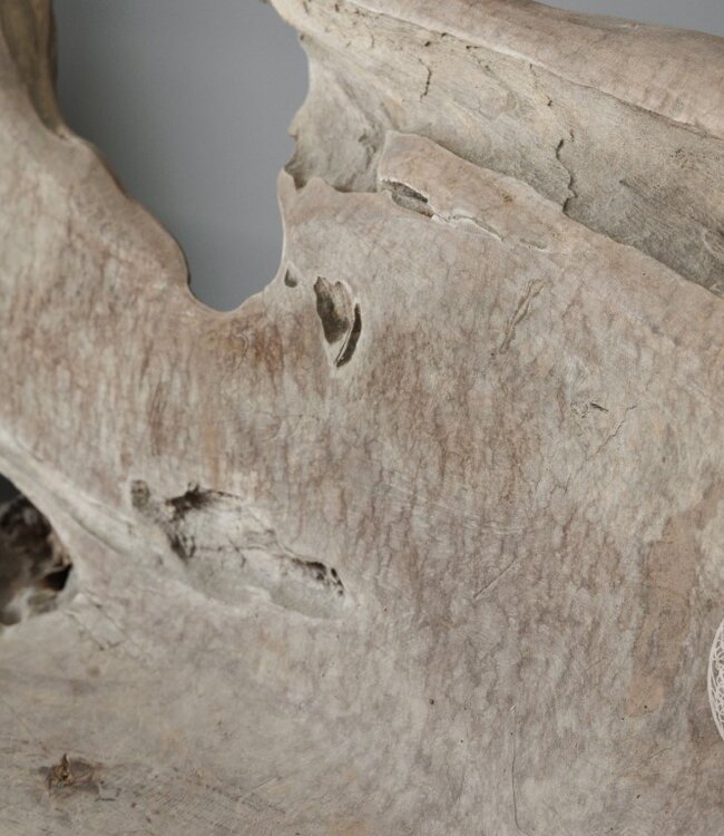 Be-Uniq Wortelhout Bankje | Indonesië | H98 x B180 x D84 cm