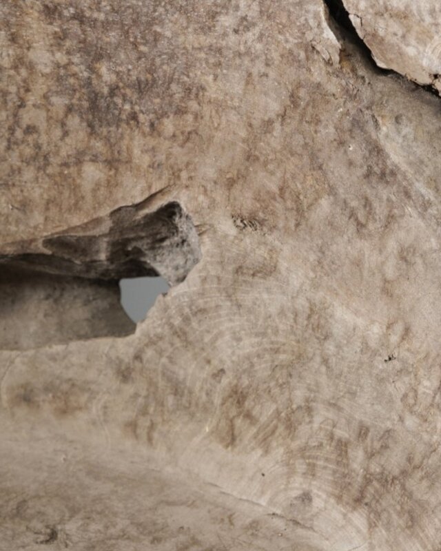 Be-Uniq Wortelhout Bankje | Indonesië | H115 x B110 x D80 cm