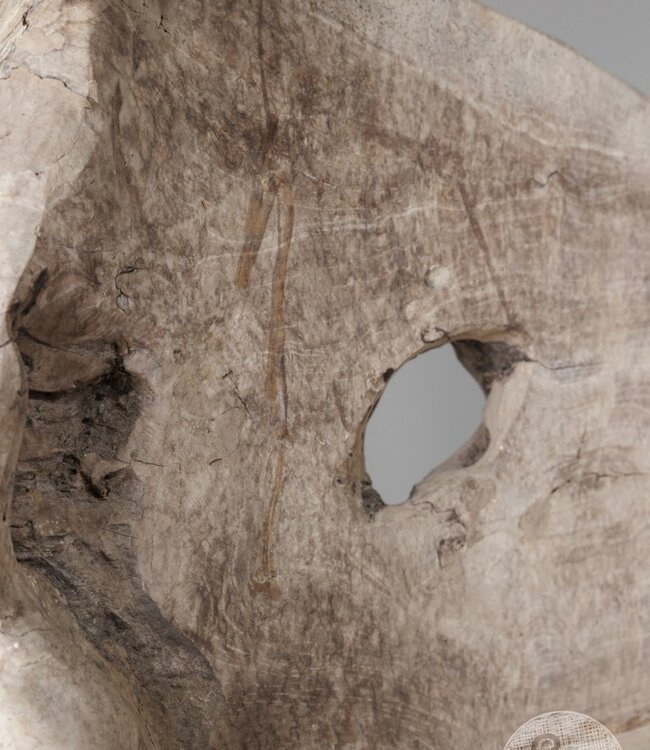 Be-Uniq Wortelhout Bankje | Indonesië | H90 x B83 x D52 cm