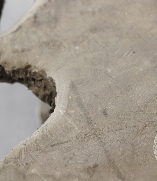 Be-Uniq Salontafel Wortelhout | Indonesië | H62 x B133 x D92 cm