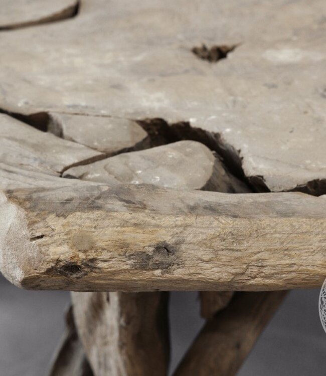 Be-Uniq Salontafel Wortelhout | Indonesië | H62 x B133 x D92 cm