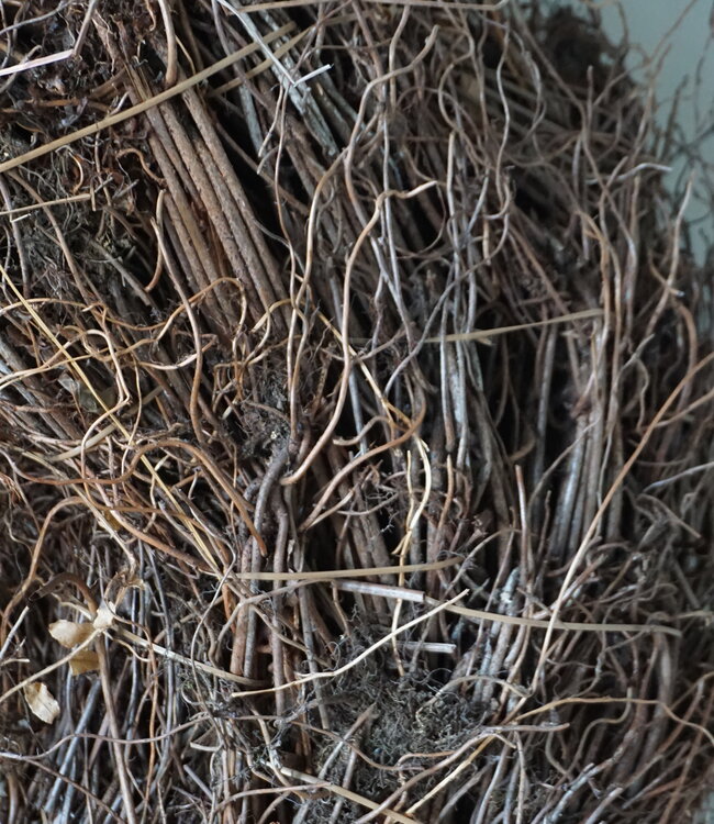 Rene Houtman Krans | Varenwortel | Rood | H20 x D60 cm