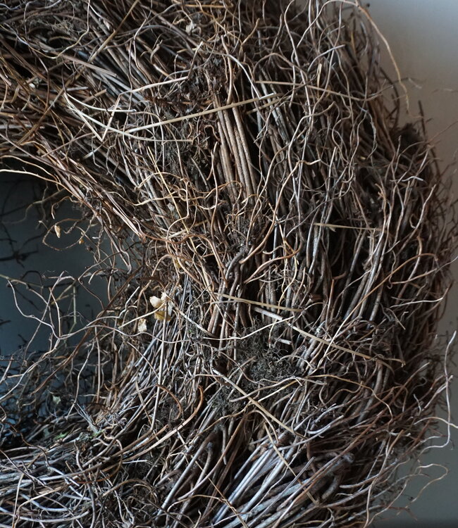 Rene Houtman Krans | Varenwortel | Rood | H20 x D60 cm